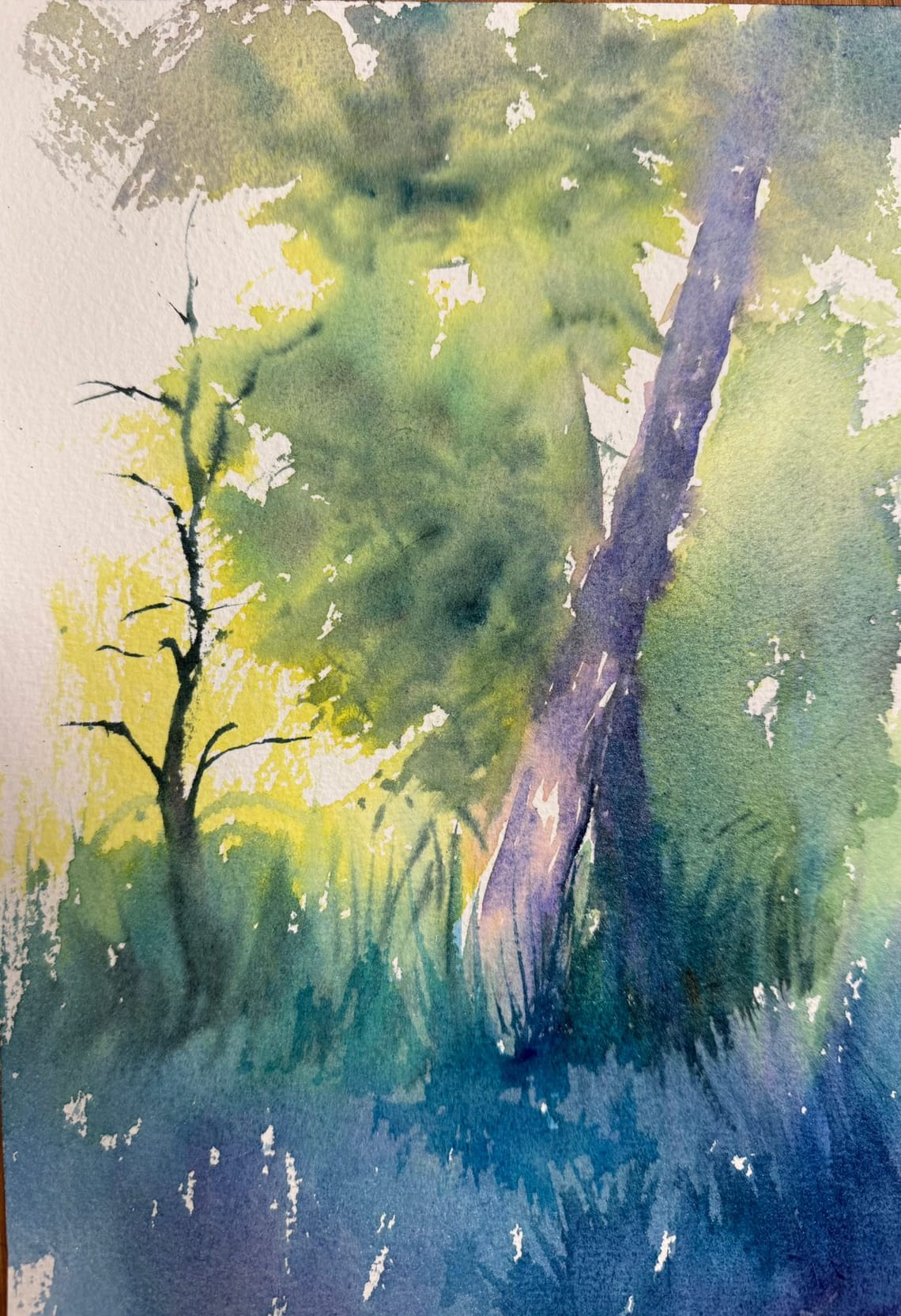 Aquarelle sylvestre (2026)