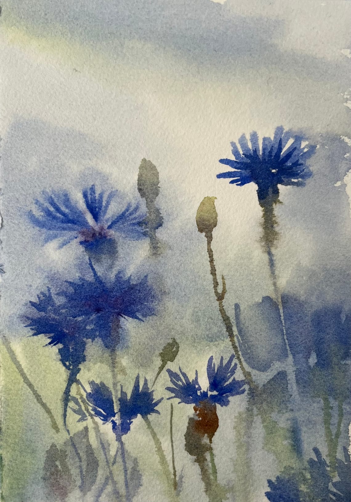 Fleurs sauvages (2023)