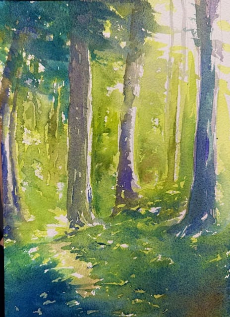 Forêt ensoleillée (2026)